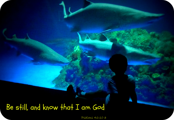 Be still and know I am God (Psalms 46-10)