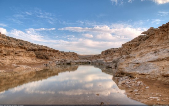 Israel Israel